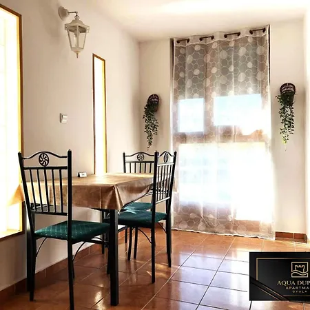 Aqua Duplex غيولا