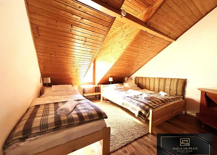 Apartment Aqua Duplex Gyula